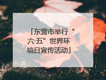 东营市举行“六·五”世界环境日宣传活动