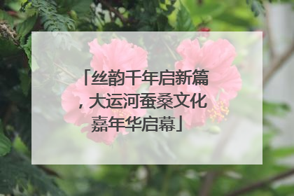 丝韵千年启新篇，大运河蚕桑文化嘉年华启幕
