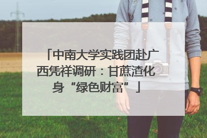 中南大学实践团赴广西凭祥调研：甘蔗渣化身“绿色财富”