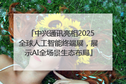 中兴通讯亮相2025全球人工智能终端展，展示AI全场景生态布局