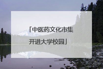 中医药文化市集开进大学校园