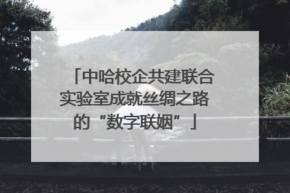 中哈校企共建联合实验室成就丝绸之路的“数字联姻”