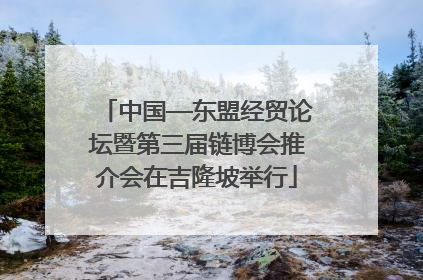 中国—东盟经贸论坛暨第三届链博会推介会在吉隆坡举行