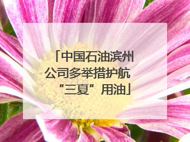 中国石油滨州公司多举措护航“三夏”用油