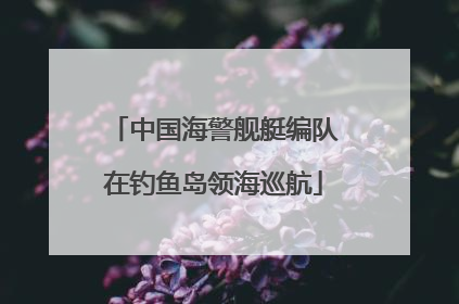 中国海警舰艇编队在钓鱼岛领海巡航