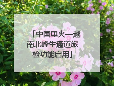 中国里火—越南北峰生通道旅检功能启用