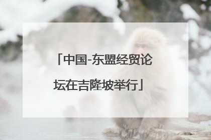 中国-东盟经贸论坛在吉隆坡举行