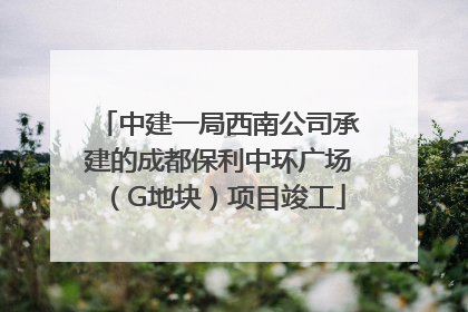 中建一局西南公司承建的成都保利中环广场（G地块）项目竣工