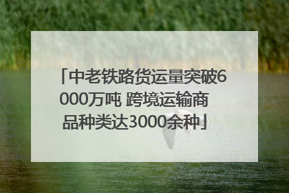 中老铁路货运量突破6000万吨 跨境运输商品种类达3000余种