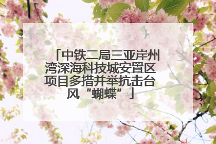中铁二局三亚崖州湾深海科技城安置区项目多措并举抗击台风“蝴蝶”