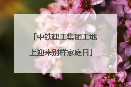 中铁建工集团工地上迎来别样家庭日