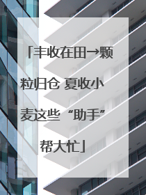 丰收在田→颗粒归仓 夏收小麦这些“助手”帮大忙