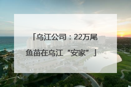 乌江公司：22万尾鱼苗在乌江“安家”