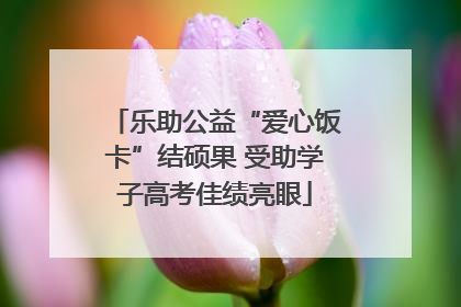 乐助公益“爱心饭卡”结硕果 受助学子高考佳绩亮眼