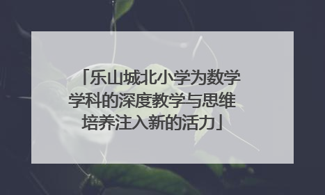 乐山城北小学为数学学科的深度教学与思维培养注入新的活力