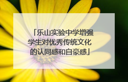 乐山实验中学增强学生对优秀传统文化的认同感和自豪感
