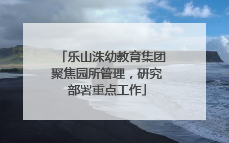 乐山洙幼教育集团聚焦园所管理，研究部署重点工作