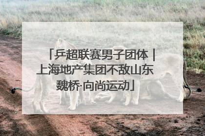 乒超联赛男子团体｜上海地产集团不敌山东魏桥·向尚运动
