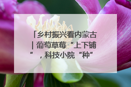 乡村振兴看内蒙古｜葡萄草莓“上下铺”，科技小院“种”出三倍效益