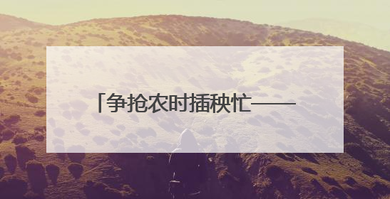 争抢农时插秧忙——陕西汉中夏播见闻