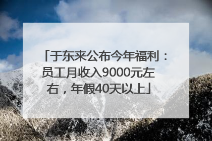 于东来公布今年福利：员工月收入9000元左右，年假40天以上