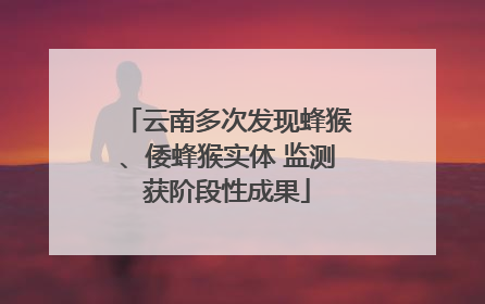 云南多次发现蜂猴、倭蜂猴实体 监测获阶段性成果