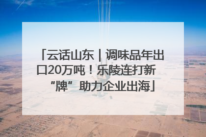 云话山东｜调味品年出口20万吨！乐陵连打新“牌”助力企业出海