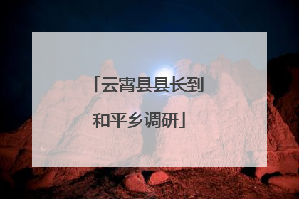 云霄县县长到和平乡调研