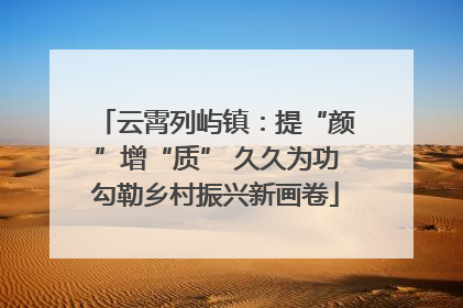 云霄列屿镇：提“颜”增“质” 久久为功勾勒乡村振兴新画卷