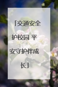 交通安全护校园 平安守护伴成长