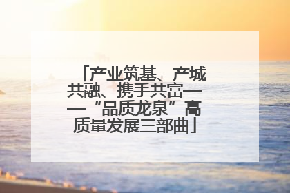 产业筑基、产城共融、携手共富——“品质龙泉”高质量发展三部曲