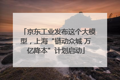 京东工业发布这个大模型，上海“链动众城 万亿降本”计划启动