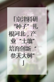 京津科研“种子”扎根河北，产业“土壤”培育创新“参天大树”