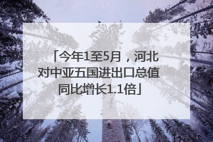 今年1至5月，河北对中亚五国进出口总值同比增长1.1倍