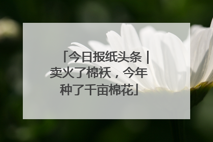 今日报纸头条｜卖火了棉袄，今年种了千亩棉花