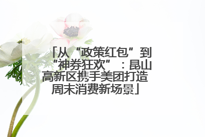 从“政策红包”到“神券狂欢”：昆山高新区携手美团打造周末消费新场景