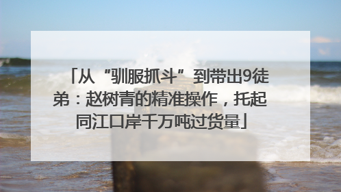 从“驯服抓斗”到带出9徒弟：赵树青的精准操作，托起同江口岸千万吨过货量