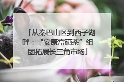 从秦巴山区到西子湖畔：“安康富硒茶”组团拓展长三角市场