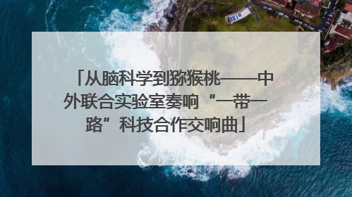 从脑科学到猕猴桃——中外联合实验室奏响“一带一路”科技合作交响曲