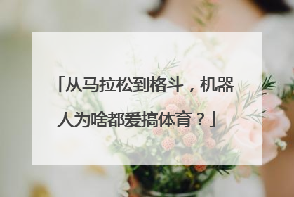 从马拉松到格斗，机器人为啥都爱搞体育？