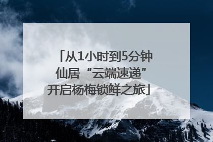 从1小时到5分钟 仙居“云端速递”开启杨梅锁鲜之旅