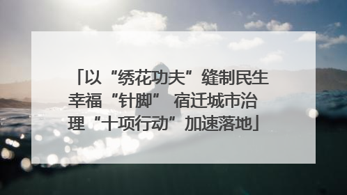 以“绣花功夫”缝制民生幸福“针脚” 宿迁城市治理“十项行动”加速落地