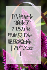 传统皮卡“狼来了”？15万级电混皮卡要碾压燃油车｜汽车风云