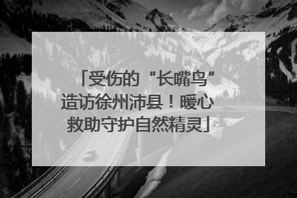 受伤的“长嘴鸟”造访徐州沛县！暖心救助守护自然精灵