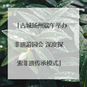 古城扬州端午举办非遗游园会 深度探索非遗传承模式