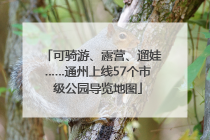 可骑游、露营、遛娃……通州上线57个市级公园导览地图
