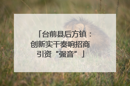 台前县后方镇：创新实干奏响招商引资“强音”