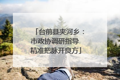 台前县夹河乡：市政协调研指导 精准把脉开良方