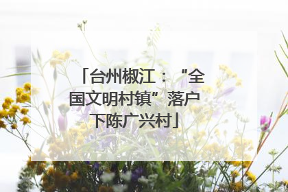 台州椒江：“全国文明村镇”落户下陈广兴村