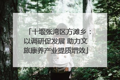 十堰张湾区方滩乡：以调研促发展 助力文旅康养产业提质增效